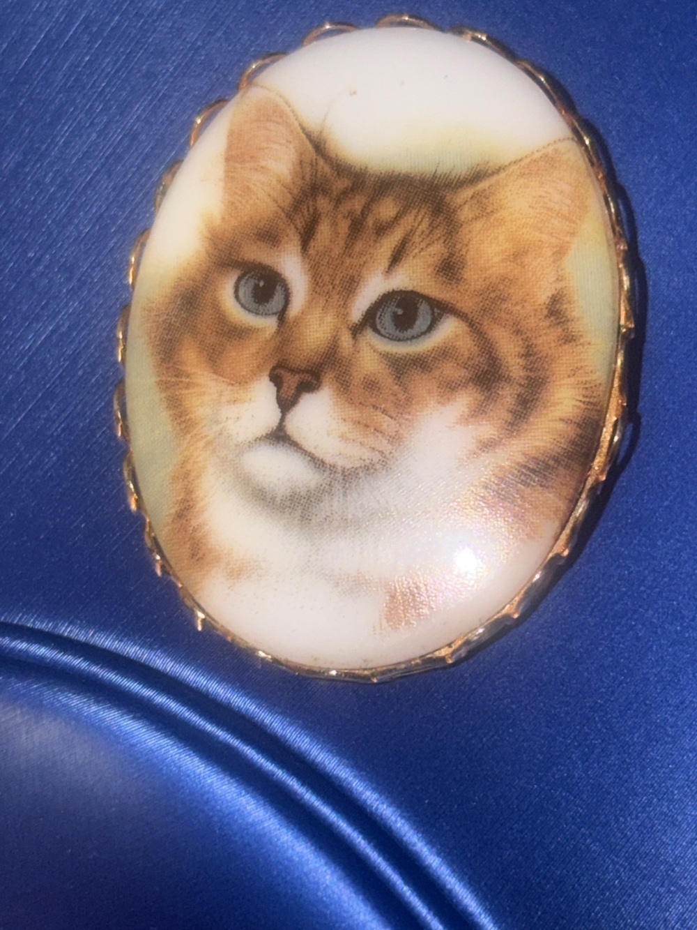 Tabby Cat brooch Pin - hand  painted 2” fashion brooch